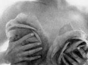 Galería favoritos Marilyn Monroe