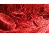 Células Sanguíneas contienen Reloj Envejecimiento