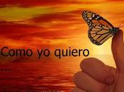 Como quiero