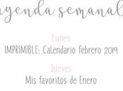 Agenda Semanal 28/01 3/02