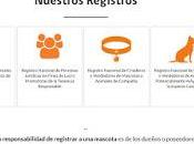 ¿Como registrar mascota?