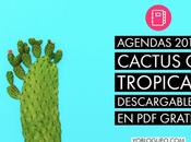 Agendas 2019 Cactus Tropical descargables gratis páginas