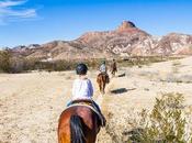 Horse Ride Lajitas, Texas