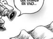 Sugerencias medios alternativos