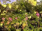 lenguaje flores