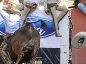 Cuauhtémoc Tamariz cerca gloria deportiva