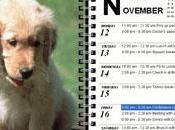 Crear calendarios gratis