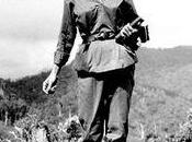 Boletín Informativo Oficina Asuntos Históricos Consejo Estado