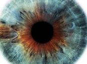 Ojos
