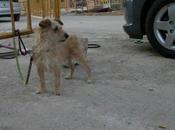 Punky, nadie fija él.!!!!! ayuda.