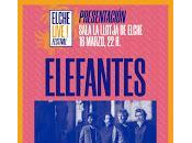 Elefantes Llotja