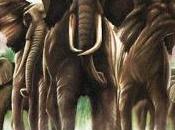 Elvis Costello Attractions Oliver's Army (1979)