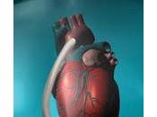 Prueban Éxito Bomba Cardiaca Asistencia Ventricular Izquierda