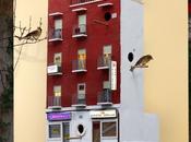 Esta campaña alerta sobre desaparición gorriones nuestras ciudades