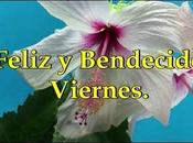 Feliz Bendecido Viernes