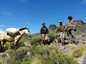 Agentes sanitarios caballo, puestos cordilleranos