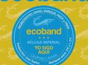 Ecoband estrena videoclip para sigo aquí