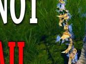 Conseguir Outward