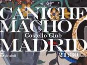 Caniche Macho Costello