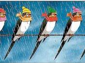 Vuelta nucleares