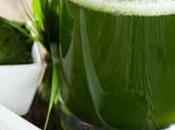 Tiendas Naturistas Barranquilla Direcciones teléfonos