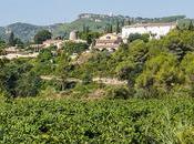 Puro Penedès