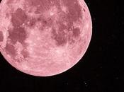 Luna Rosa Abril 2019