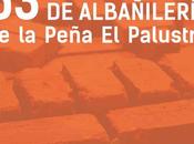 Concurso: Búsqueda cartel concurso nacional albañilería