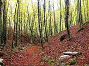 Viaje fantástico centro Tierra