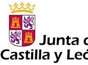 Becas colaboración Residencias Juveniles Castilla León 2011