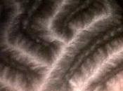 Cornrows