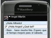 BlackBerry Messenger 5.03