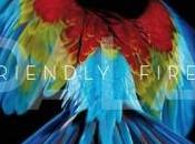 Friendly Fires: Hawaiian (2011)