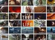 tree life trailer