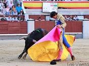 Torero vientre