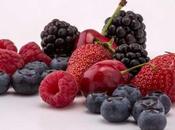 Frutos bosque saludables antioxidantes diario