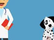 Urgencias Veterinaria horas Cartagena Direcciones teléfonos