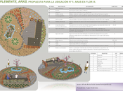 propuesta para certamen aras flor (1/2)