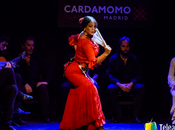 Cena tablado flamenco Madrid