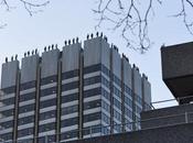 Project cómo arte creatividad pueden luchar contra suicidio