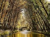 Desde río, reflejos dorados