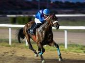 Gran Hipódromo Andalucía inaugura este jueves terraza cinco carreras caballos