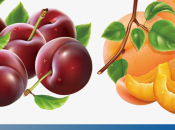 Artricenter: Batido cereza durazno para frenar artritis