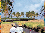 Reseña #334 pequeño lugar