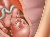 semanas embarazo Octavo