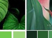 Estilo Tropical Chic