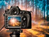 posible guardar fotos nube forma segura?