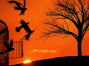 Libertad nuestro mundo.