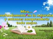 Mira profundamente naturaleza entonces comprenderás todo mejor. -Albert Einstein.