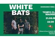 White Bats Tempo Club